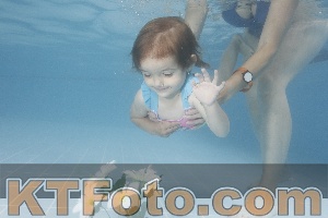 Photo 4264586