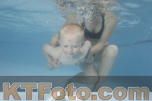 Photo 4264590
