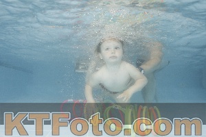 Photo 4264599