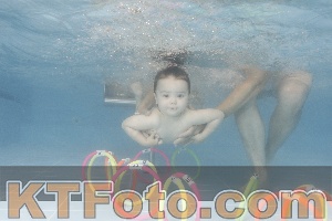Foto 4264606