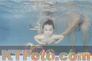 Foto 4264607