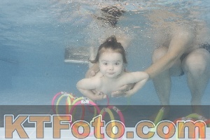 Foto 4264608