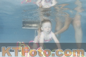 Photo 4264611