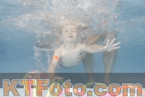 Photo 4264613
