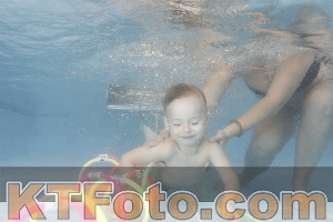 Photo 4264619