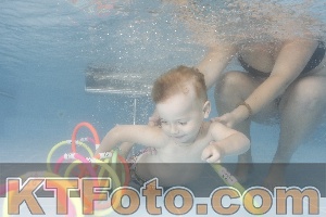 Photo 4264620