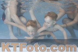Photo 4264710