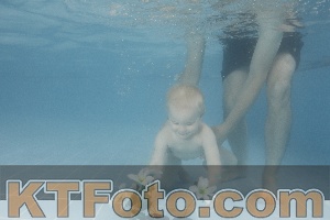 Photo 4264799