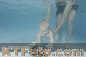 Photo 4264800