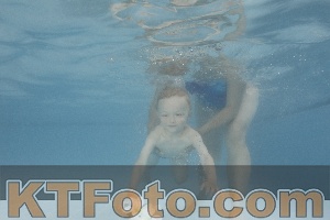 Photo 4264801
