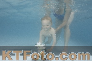 Photo 4264802