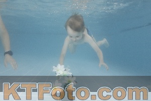 Photo 4264804