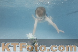 Photo 4264805