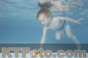 Photo 4264808