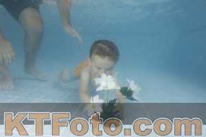 Photo 4264809