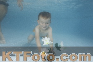 Photo 4264810