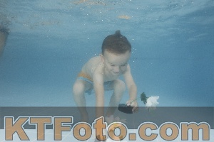 Photo 4264811