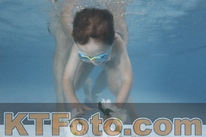 Photo 4264815