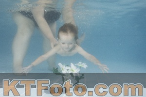 Photo 4264820
