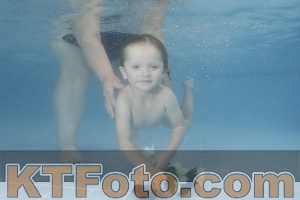 Photo 4264821