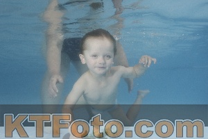 Photo 4264822
