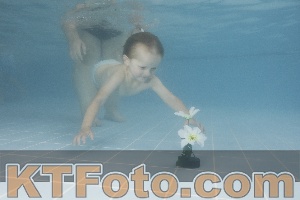 Photo 4264823