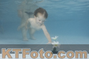 Photo 4264824