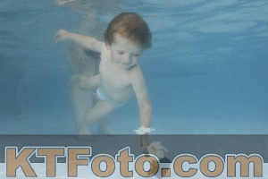 Photo 4264825