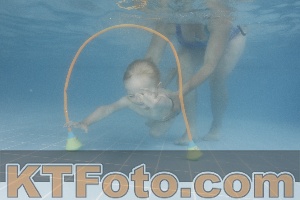 Photo 4264828