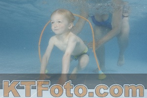 Photo 4264829