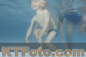 Photo 4264830