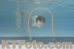 Photo 4264833