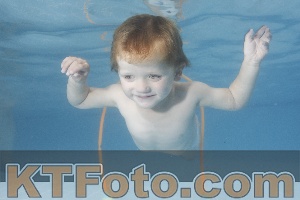 Photo 4264834