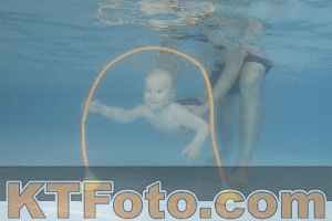 Photo 4264838