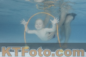 Photo 4264839