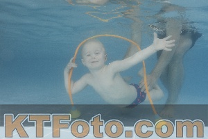 Photo 4264840