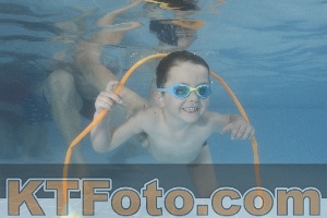 Photo 4264842