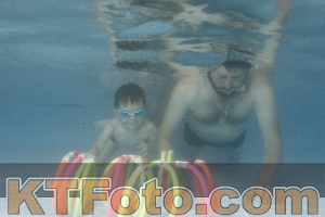 Photo 4264856