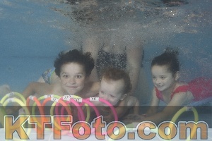 Photo 4264869