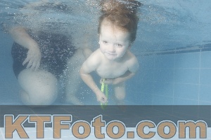 Photo 4264896