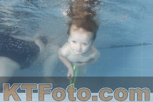 Photo 4264897