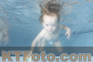 Photo 4264898