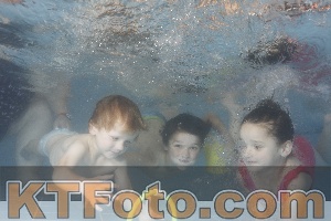 Foto 4264902