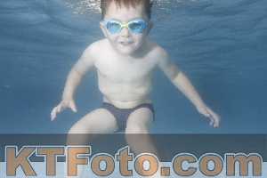Photo 4264913