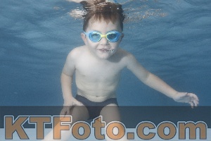 Photo 4264914