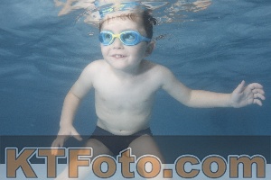 Photo 4264915