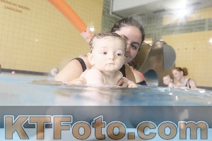 Photo 4264987