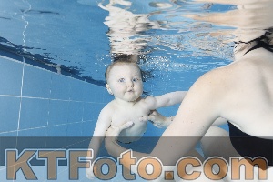 Photo 4265047