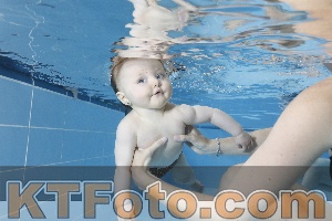Photo 4265048