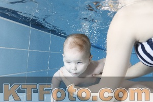 Photo 4265049